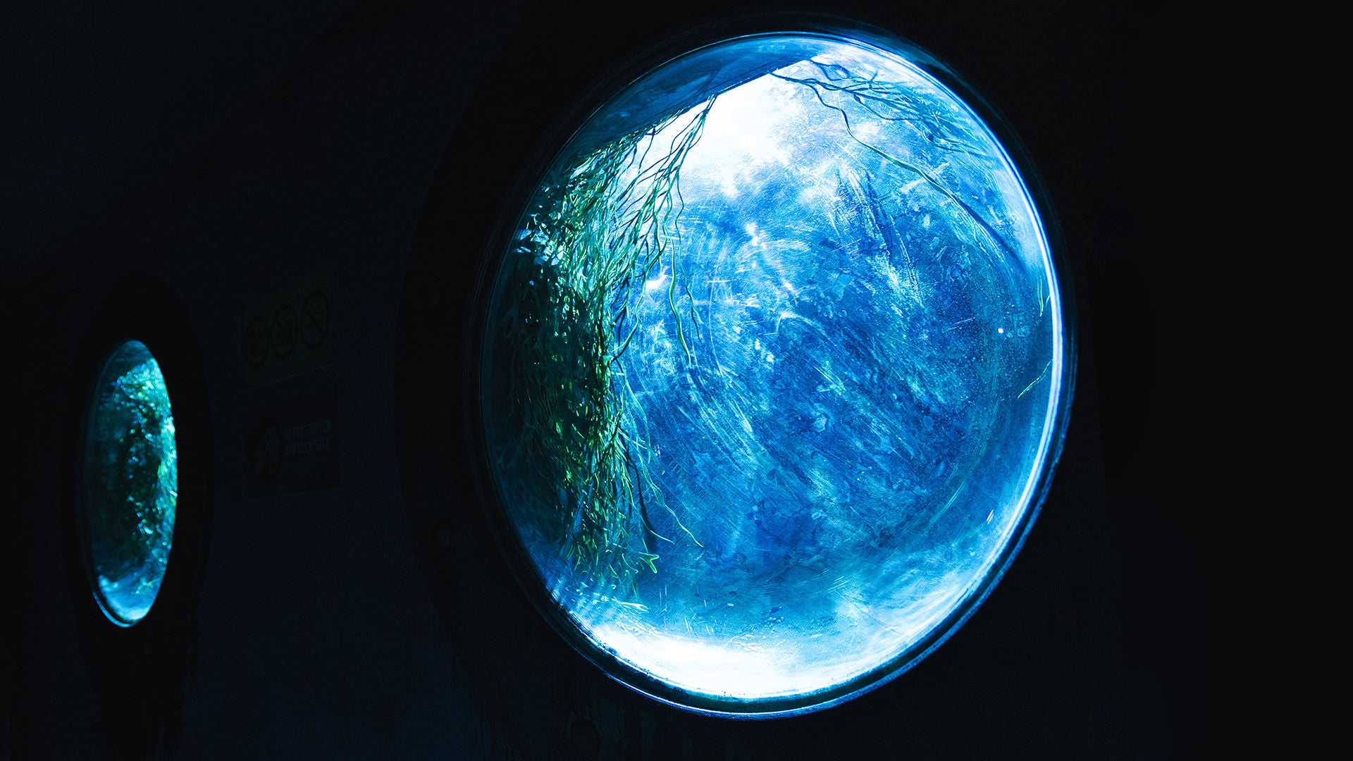Aquarium