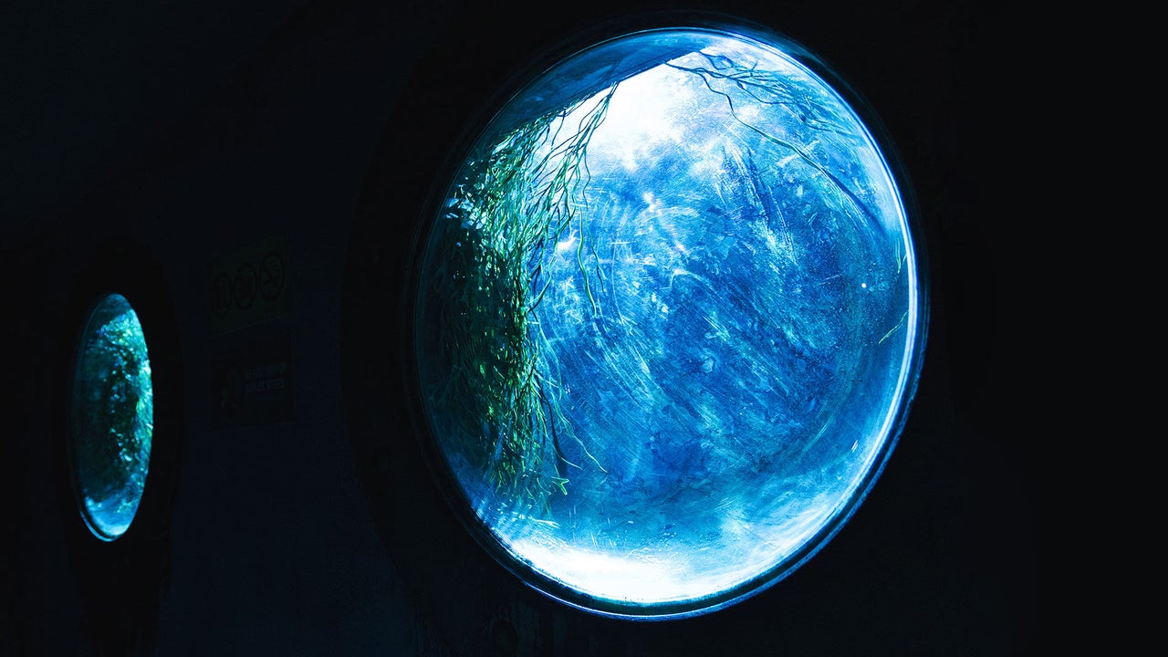 Aquarium