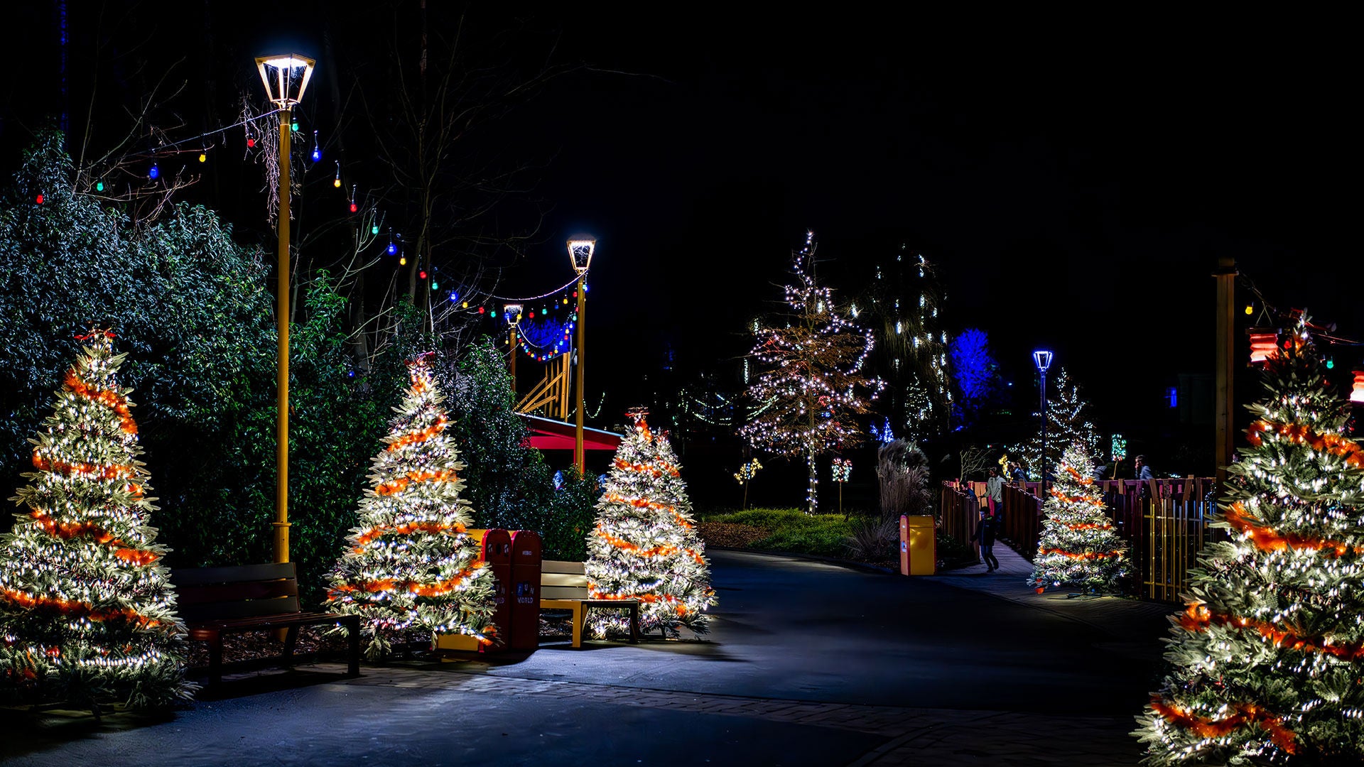 Attraction dans Polar Playground