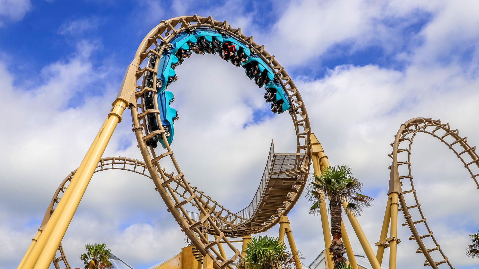 Cobra Walibi Belgium