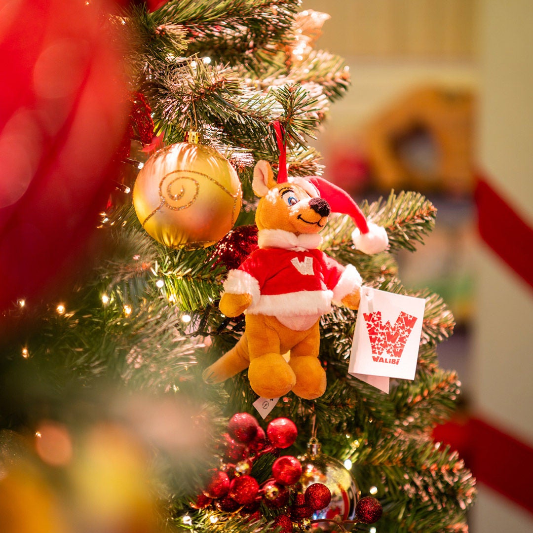 Walibi Winter 2025 entrance