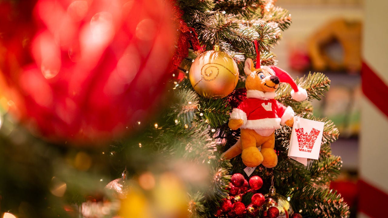 Walibi Winter 2025 ingang