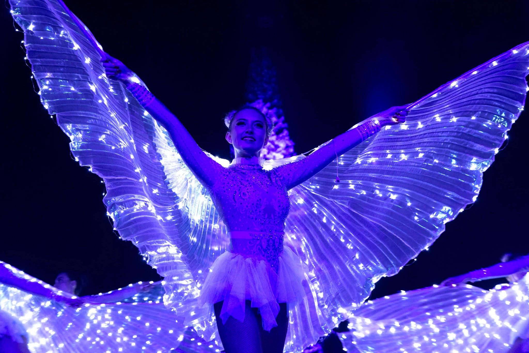 Visuel présentant Walibi Winter à Walibi. Grâce à la Black Week, vous profitez de super réduction !